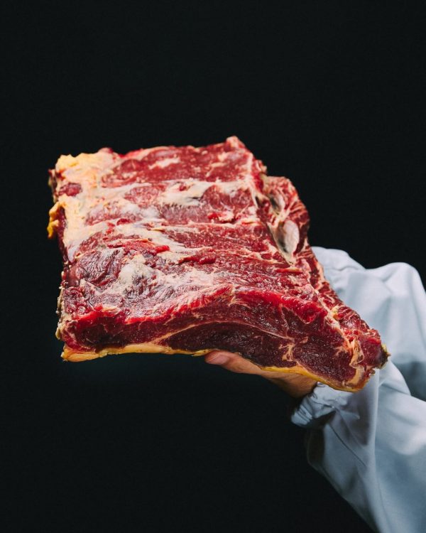 Vazia baixa vaca naturada