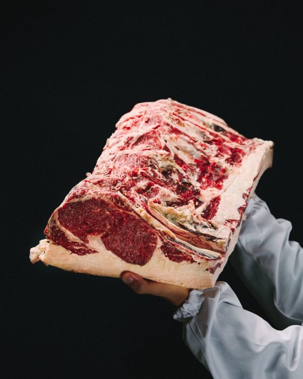 Vazia baixa vaca naturada