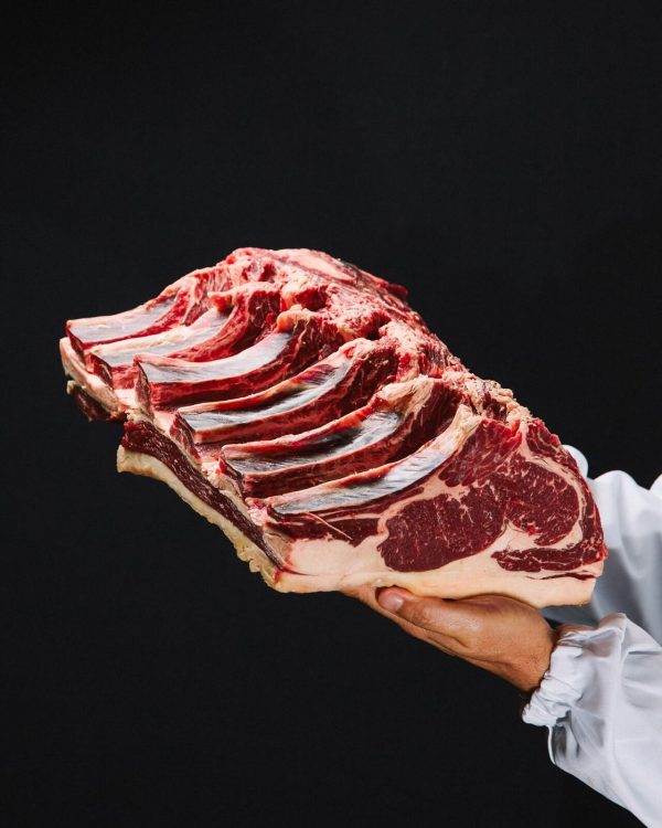 Vazia alta vaca maturada