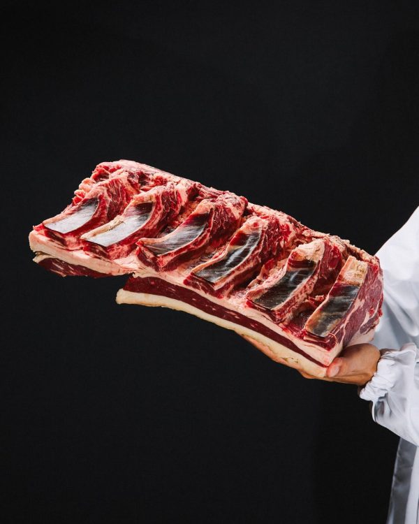 Vazia alta vaca maturada